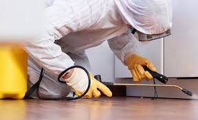 Best Pest Prevention Services  in Hurricane, UT